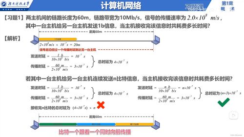 計算機網絡基礎與互聯(lián)網信息服務概述
