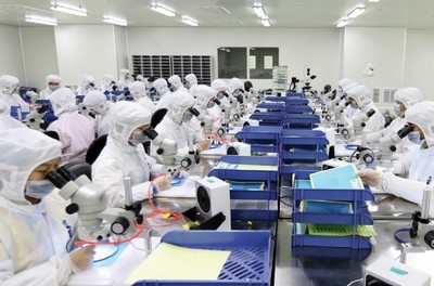 廈門 7萬崗位面朝大海，有色金屬壓延加工行業(yè)誠邀英才