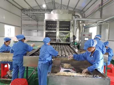 扶貧托起致富夢，砥礪“黔”行奔小康——有色金屬產業助力脫貧攻堅的生動實踐